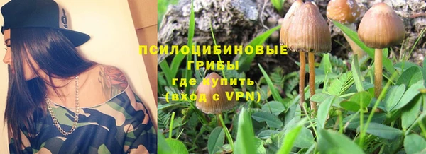 гидропоника Баксан