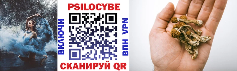 Псилоцибиновые грибы Psilocybe Зима