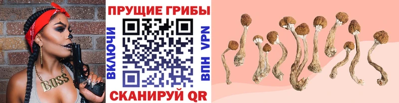 Галлюциногенные грибы GOLDEN TEACHER  Зима 
